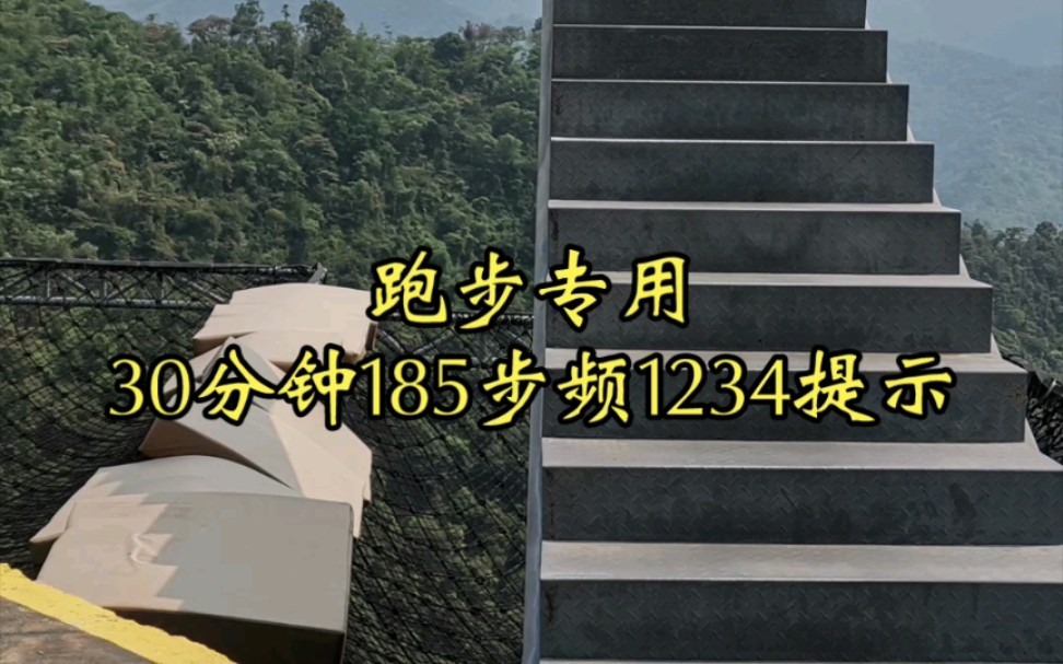 [图]跑步专用30分钟185步频1234提示