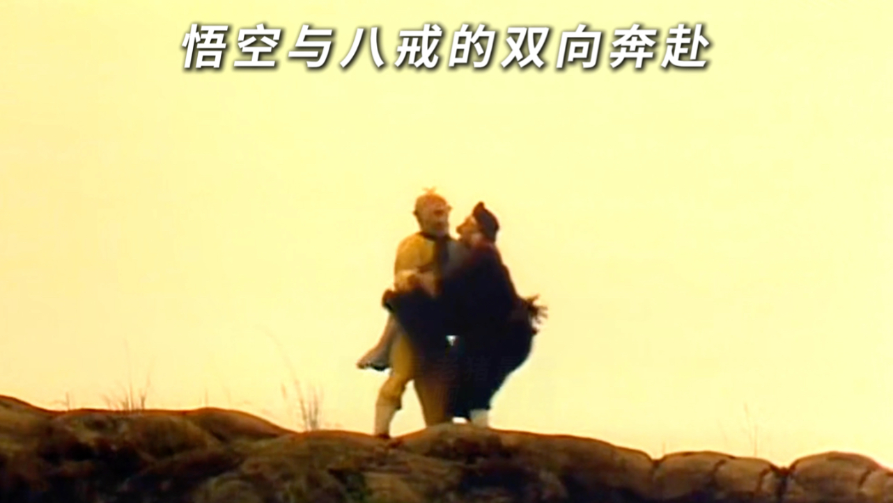 八戒和悟空的感情才是最真挚的