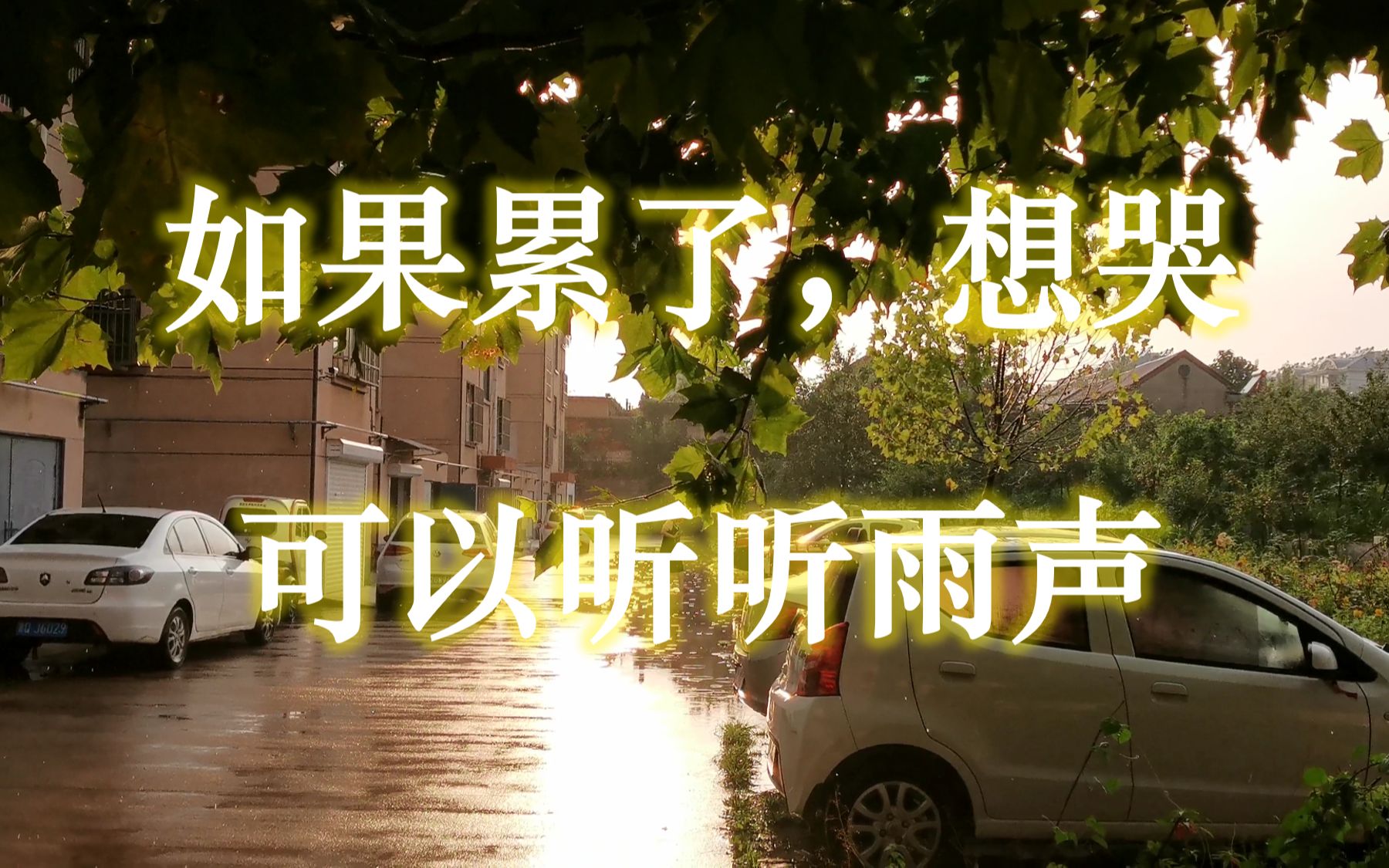 如果累了,想哭,可以听听雨声和水声