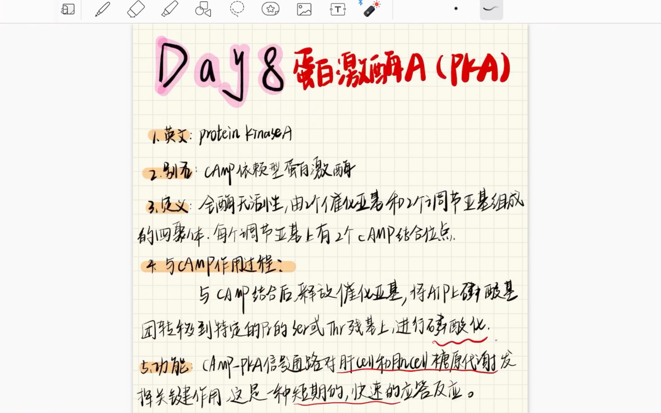 细胞生物学名词解释day8蛋白激酶A(PKA)哔哩哔哩bilibili