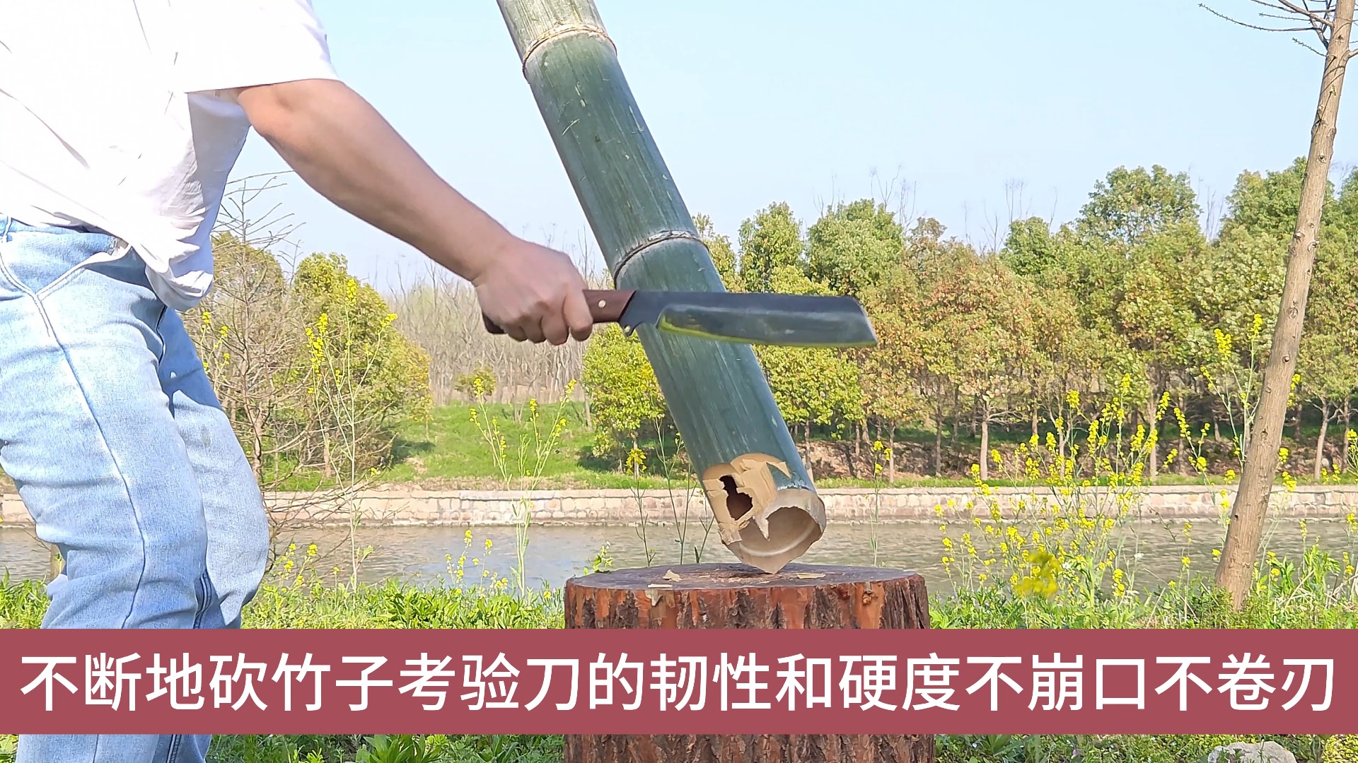 5610纯手工锻打户外st平头砍柴刀排障刀开路刀砍大竹子测试,砍大竹子