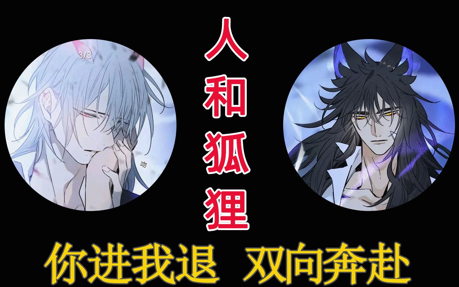 奥格斯的法则我怂但是老婆让我为所欲为