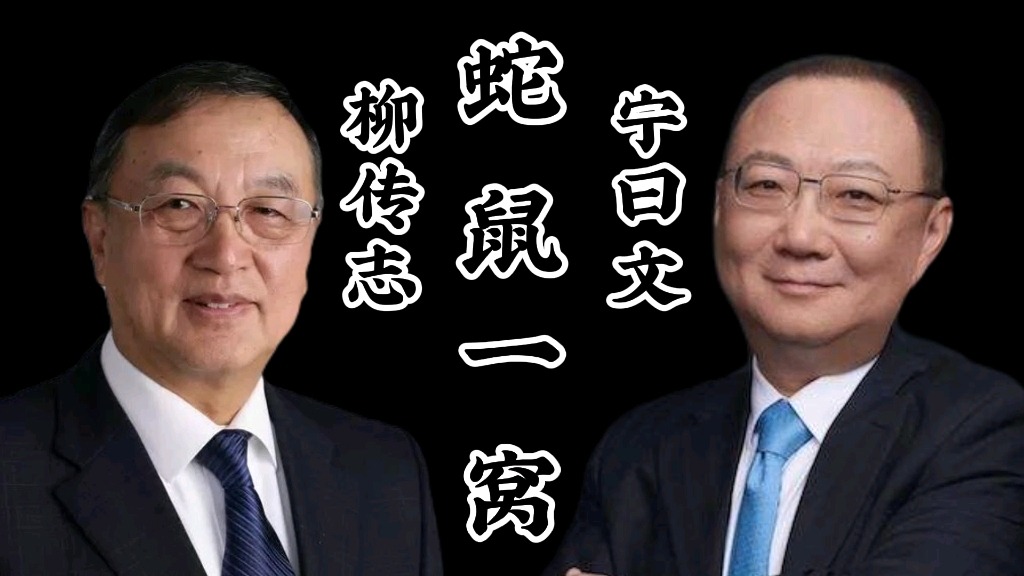 司马南质疑联想,手艺人用软陶泥制作联想控股董事长宁旻,小泥人支持司马南哔哩哔哩bilibili