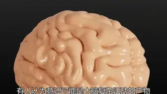 人体只是一堆肉，思想意识是从哪里来的？