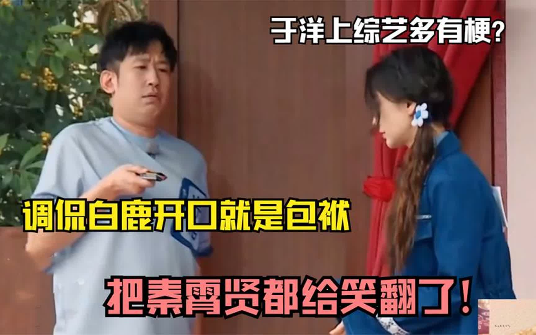 [图]于洋上综艺多有梗？调侃白鹿开口就是包袱，把秦霄贤都给笑翻了！