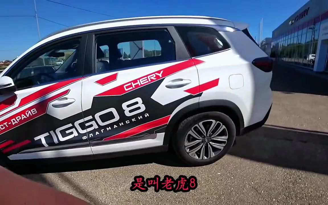 【国产车海外测评】大鹅网红看见路边堆满了老虎牌汽车,原来是一家