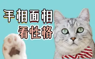 猫手相 搜索结果 哔哩哔哩 Bilibili