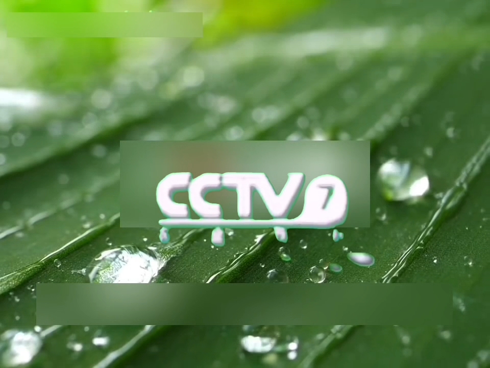 中央电视台cctv7直播在线观看(中央电视台cctv7直播在线观看高清)