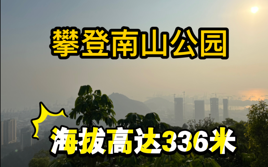 深圳顶级登山运动员攀登南山公园,攀登海拔336米的山峰.哔哩哔哩bilibili