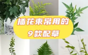 Download Video: 插花束常用的9款配草