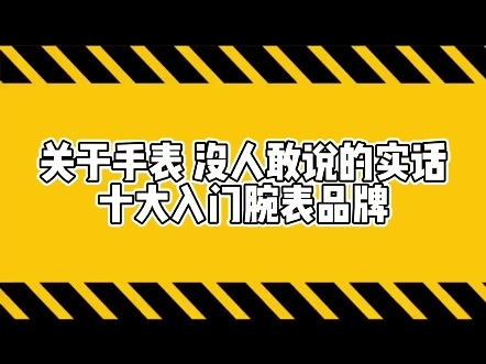 关于手表没人敢说的实话,十大入门腕表品牌哔哩哔哩bilibili