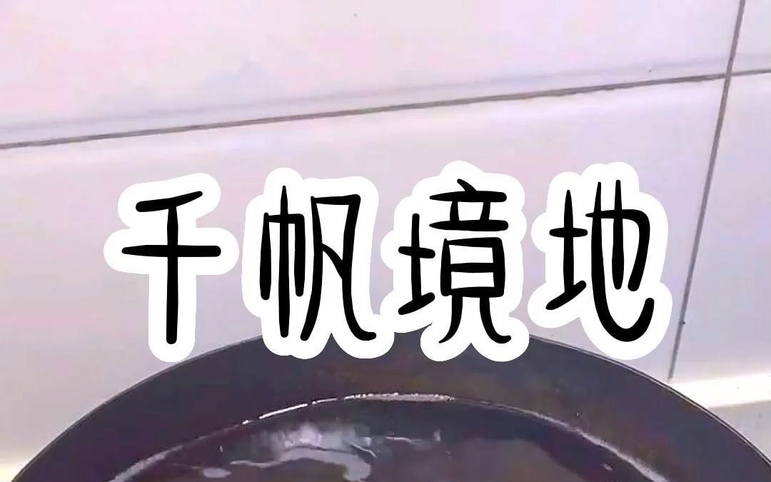 千帆境地哔哩哔哩bilibili