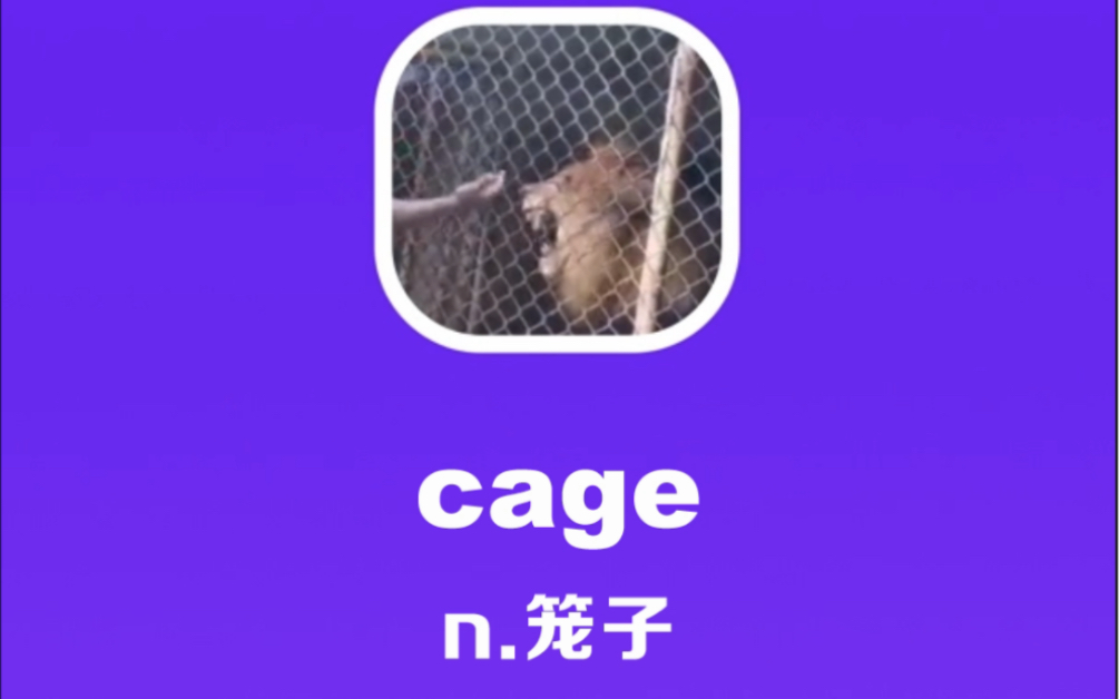 [图]cage：笼子