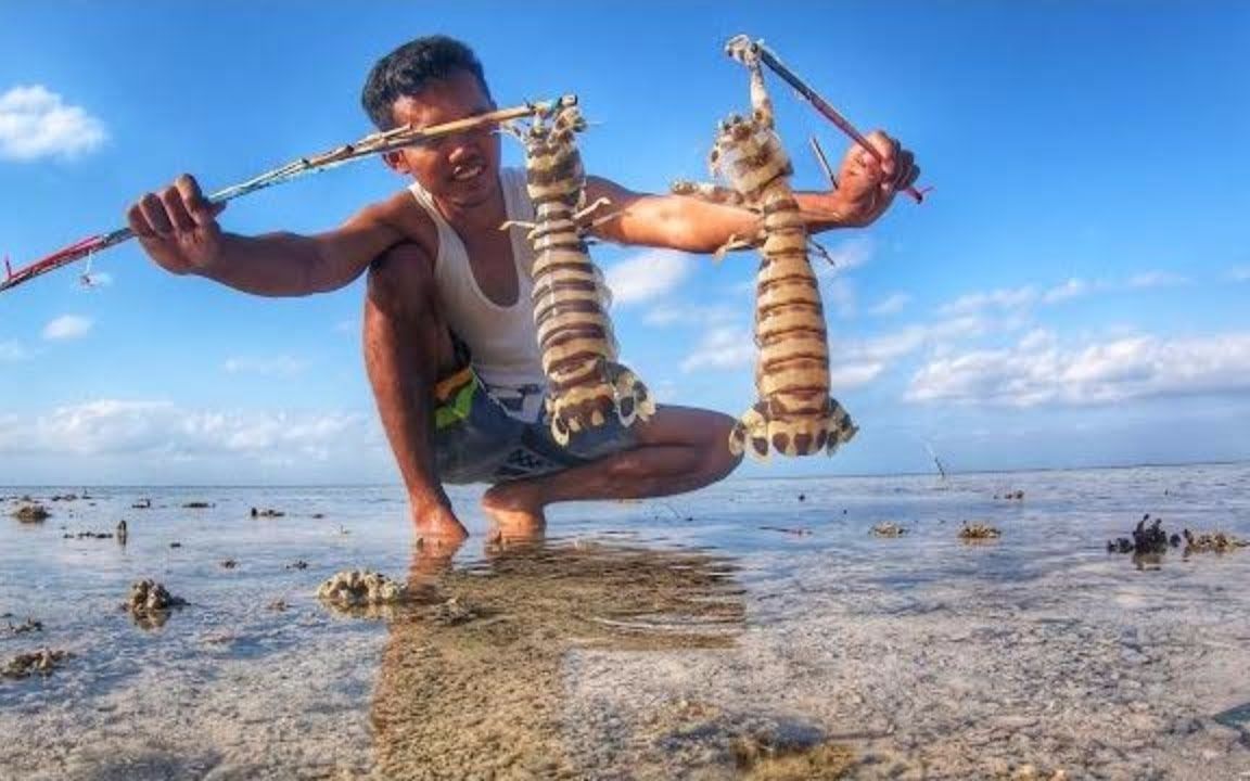 印尼赶海抓斑琴虾蛄,自制全自动捕获器抓巨型虾蛄,一只就卖一百