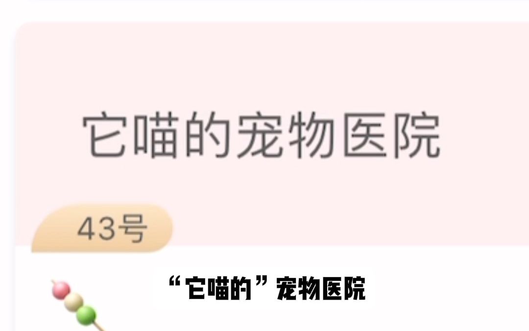 当我们准备自己建个流浪动物救助医院时,却遇到了万古不变的起名难题哔哩哔哩bilibili