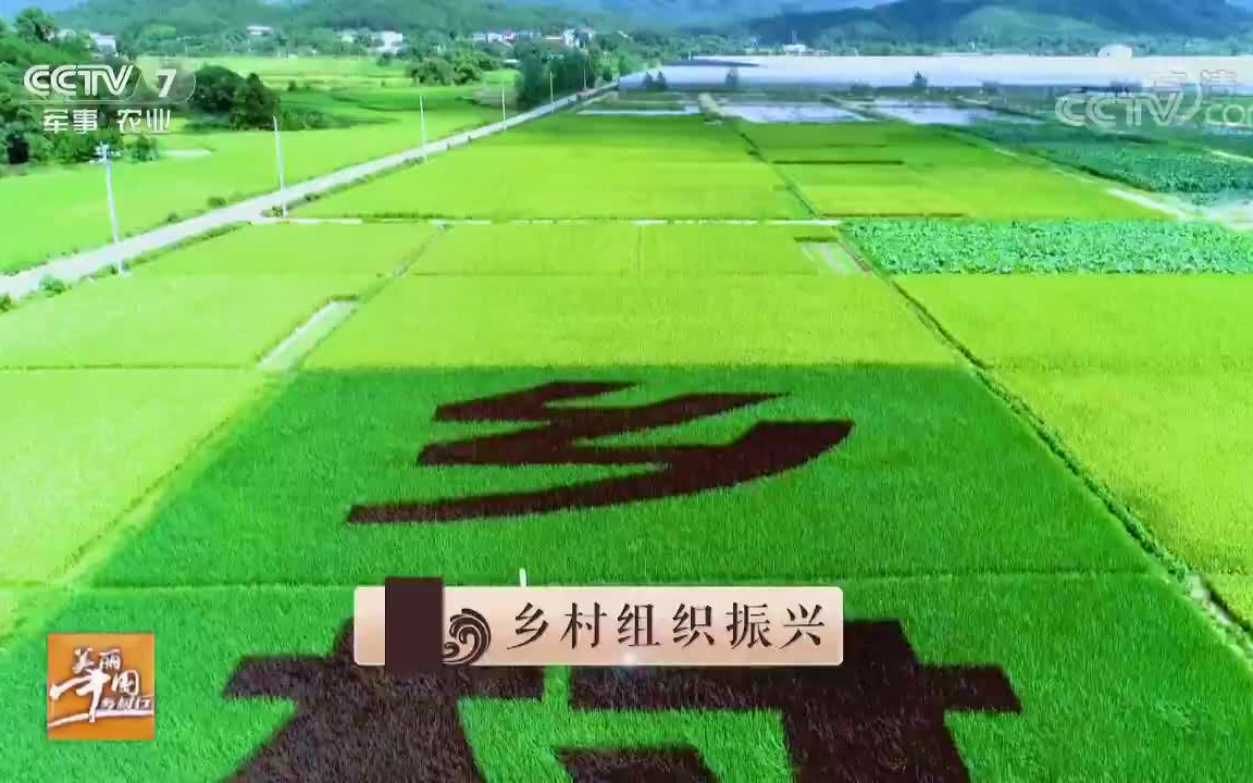 美丽中国乡村行(原《生活567》)《美丽中国乡村行》20181227乡村振兴看中国第五集组织强哔哩哔哩bilibili