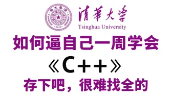 【整整500集】绝对是B站最细最全，2025最新版C++零基础入门教程，全程干货无废话，逼自己一周学会C++，C++零基础小白入门到开发大佬！