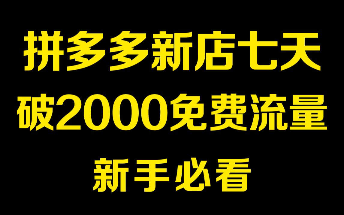 拼多多新店七天免费流量突破2000实操分享哔哩哔哩bilibili