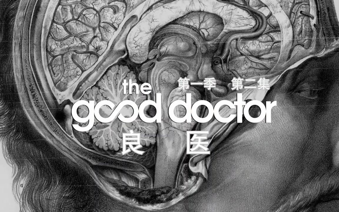 [图]【盘点向】Good Doctor 良医第一季BGM主题曲OST盘点（上）