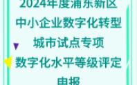 关于开展2024年度浦东新区中小企业数字化转型城市试点专项(数字化水平等级评定)申报工作的通知哔哩哔哩bilibili