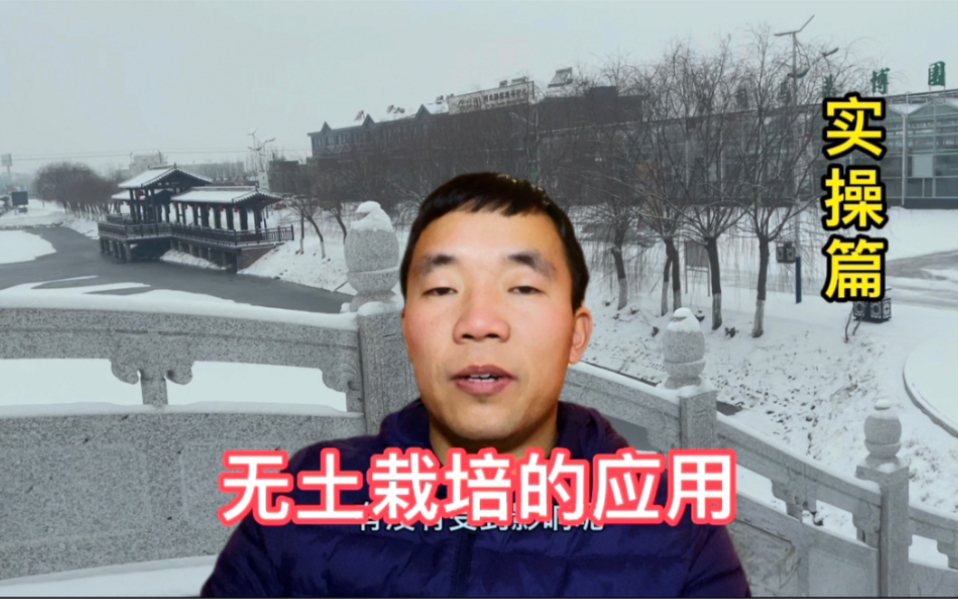 无土栽培的应用——实操篇:冰雪天温室内无土栽培有没有受到影响呢?哔哩哔哩bilibili