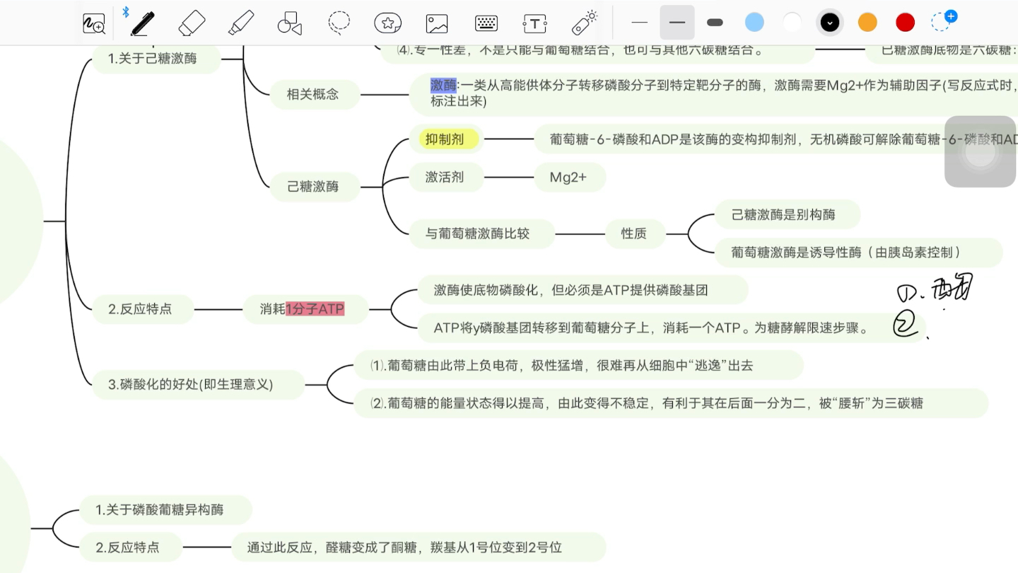 【生化带背】生物考研党进/糖代谢/名词解释/思维导图/大题整理/背诵计划/考试急救哔哩哔哩bilibili