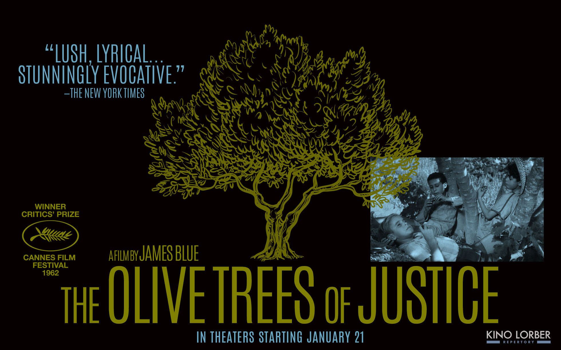 The Olive Trees Of Justice 橄榄树下的情人哔哩哔哩bilibili