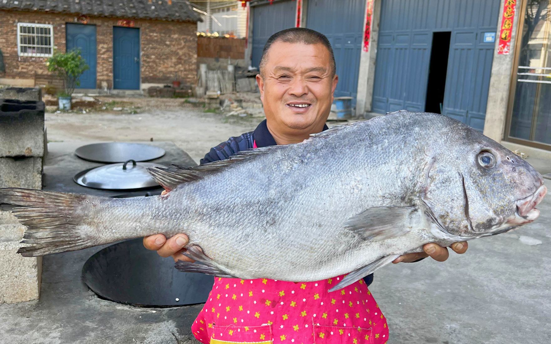 火车头海鱼图片