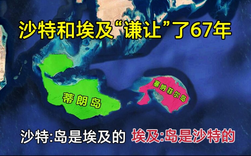 两座岛屿,面积达113平方公里!为何沙特与埃及谦让了67年?哔哩哔哩bilibili