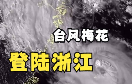 今年第12号台风“梅花”登陆浙江哔哩哔哩bilibili