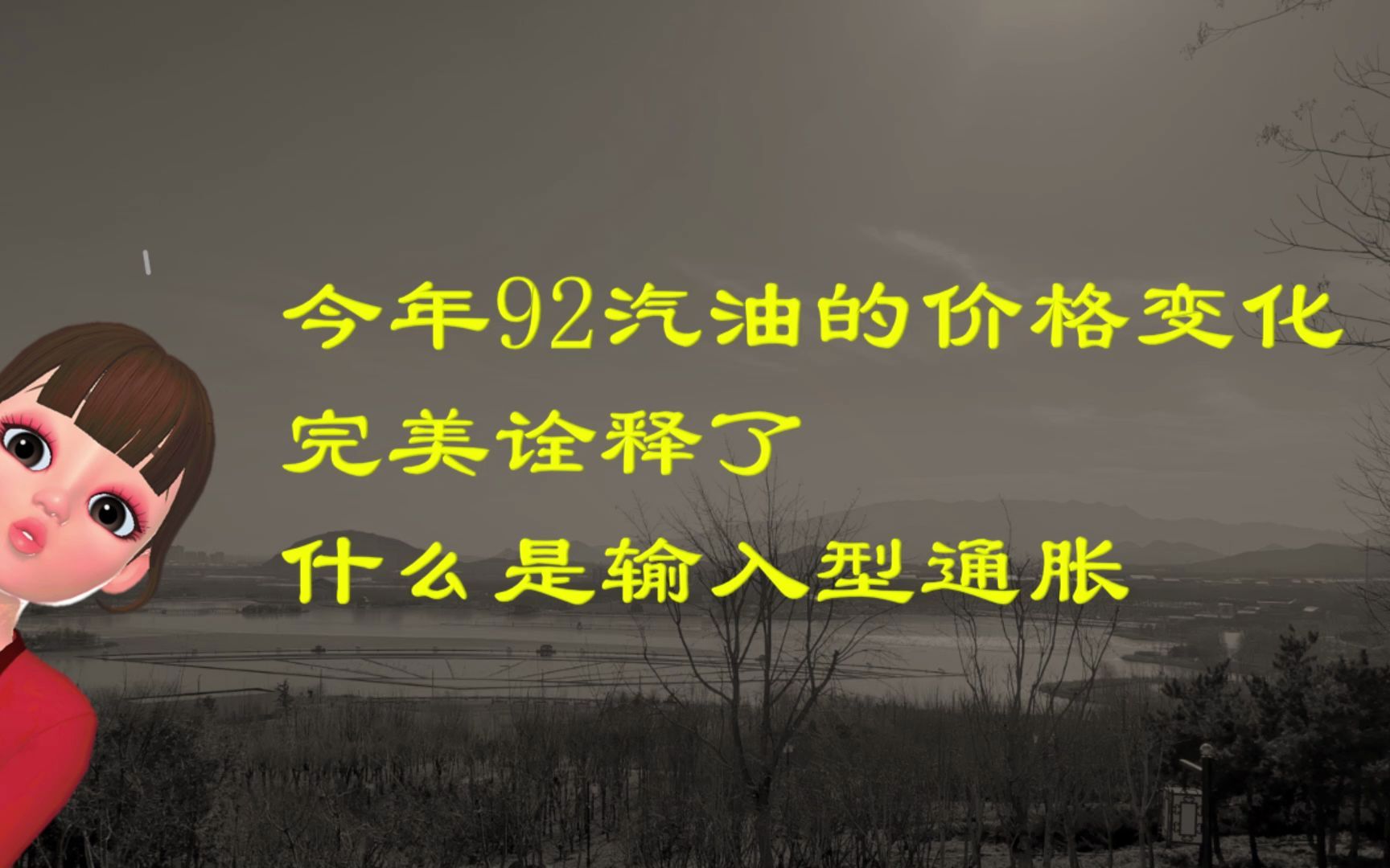 今年每升92汽油多付的三毛钱,就是输入型通胀哔哩哔哩bilibili