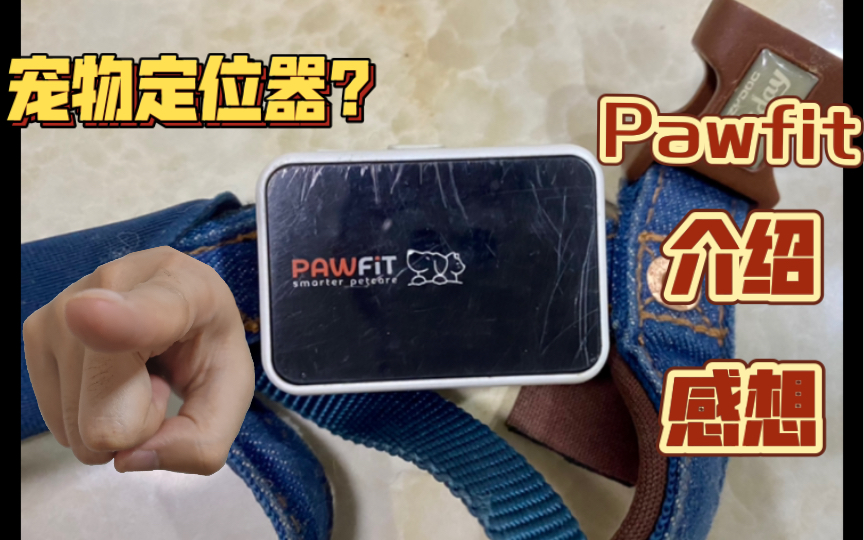 来看看Pawfit宠物定位器是什么样的吧?哔哩哔哩bilibili