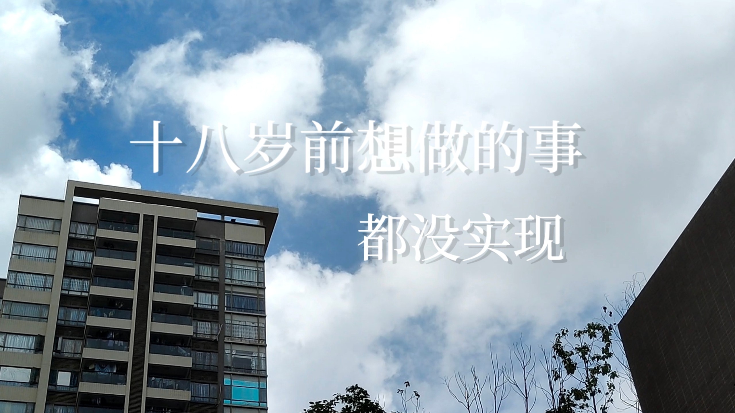十八岁前想做的事都没实现