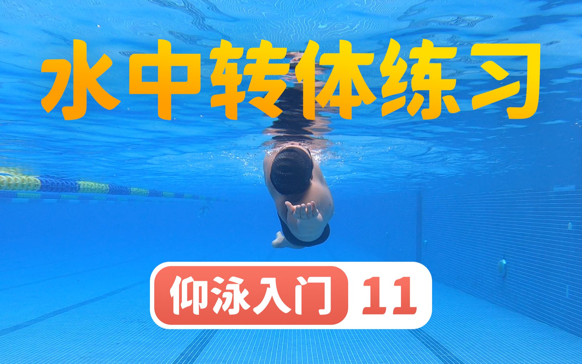 【仰泳入门】11.水中转体练习|梦觉教游泳哔哩哔哩bilibili