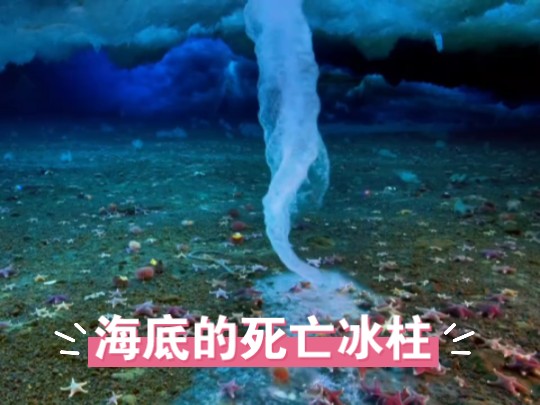 海底的死亡冰柱,所有触碰的生物都难逃劫难.