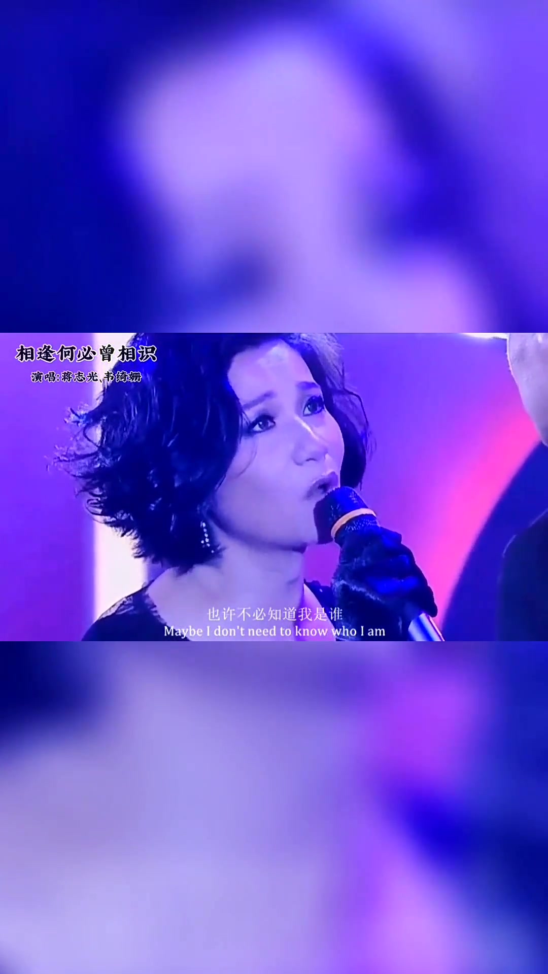 相逢何必曾相识歌曲(相逢何必曾相识歌曲表达的意思)