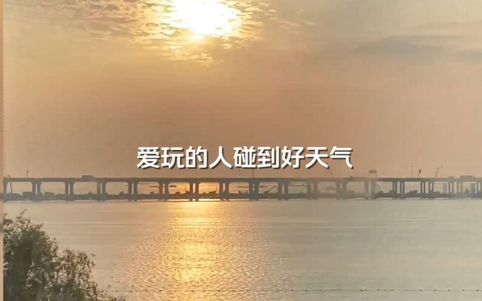 不藏了,心上人是藏不住的!哔哩哔哩bilibili