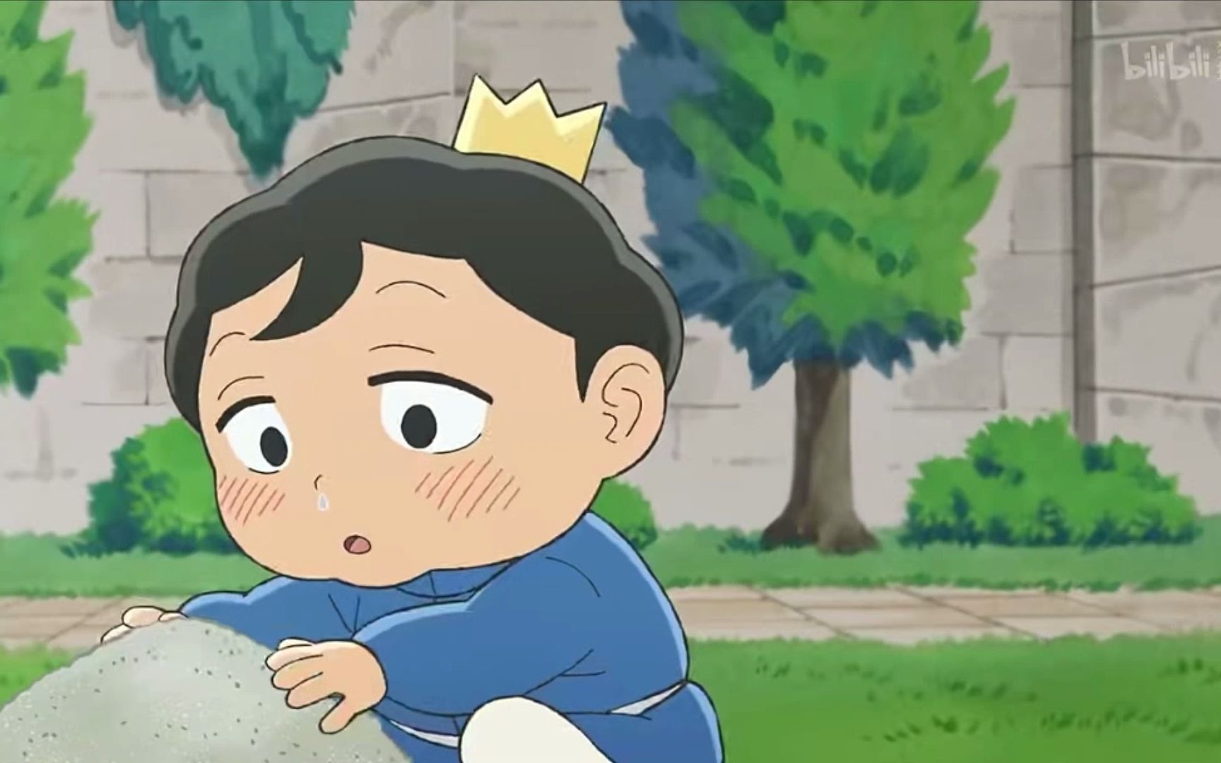 【国王排名】可可爱爱的小小波吉