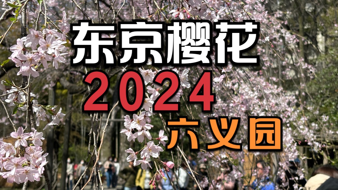 2024樱花季,东京六义园垂樱!哔哩哔哩bilibili