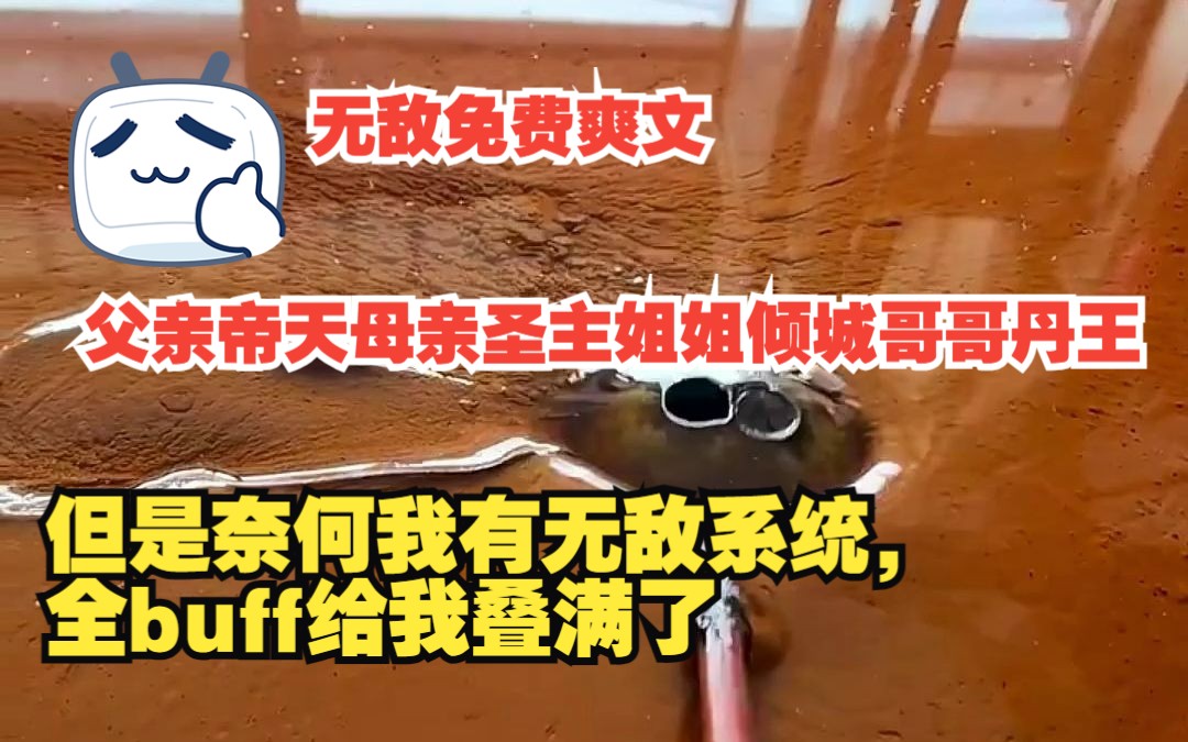 [图]【风和破天】2我有无敌系统，全buff给我叠满了，父亲帝天母亲圣主姐姐倾城哥哥丹王