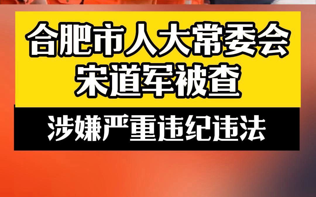 合肥市人大常委会宋道军被查哔哩哔哩bilibili