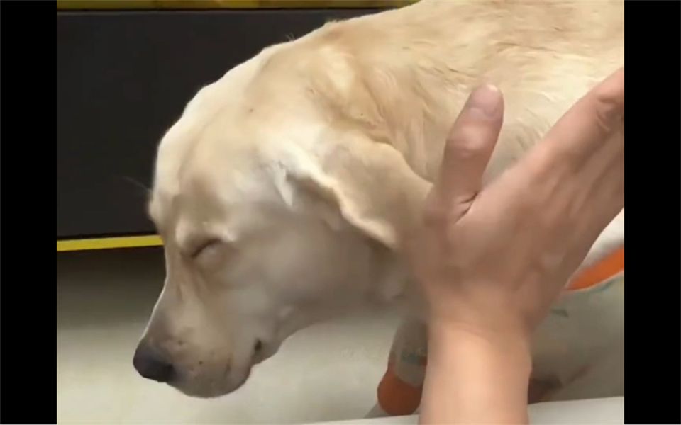 力度刚刚好,懵逼不伤脑