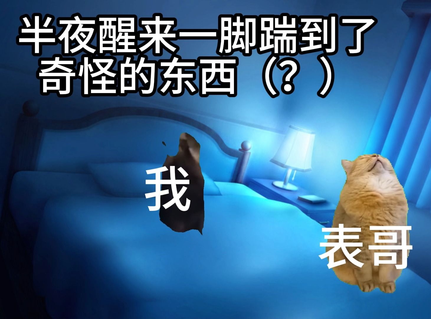 [图]【猫meme】去阿姨家居然会遇到这种事？！