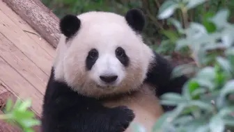 谁懂这10秒的含金量！！