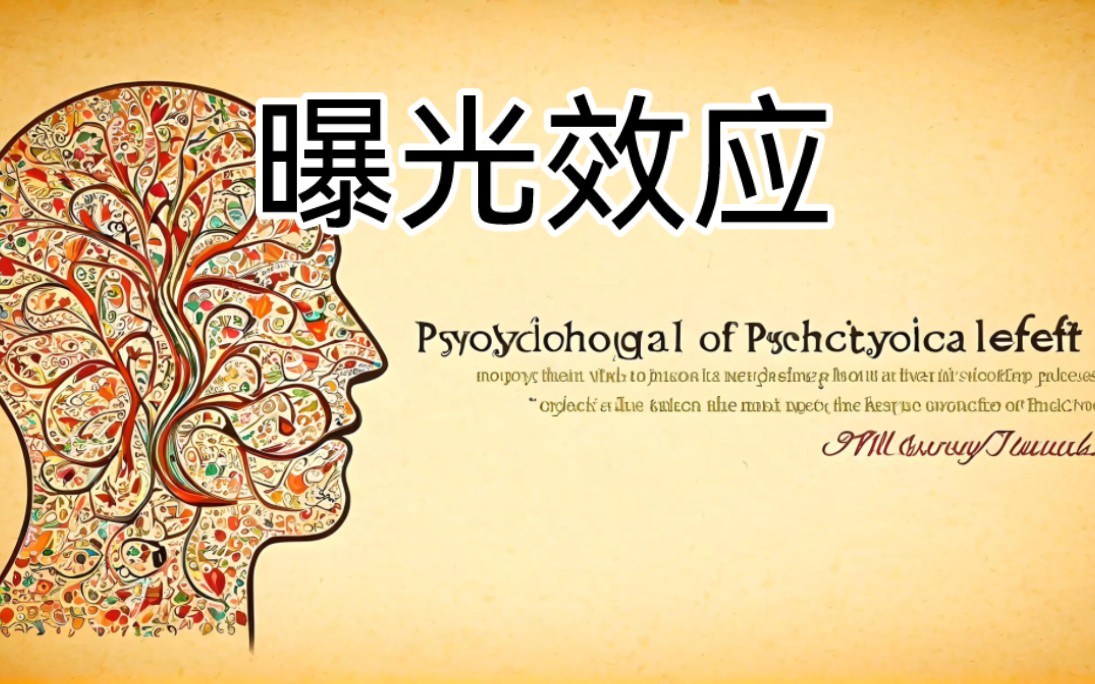 曝光效应:频繁接触的魅力