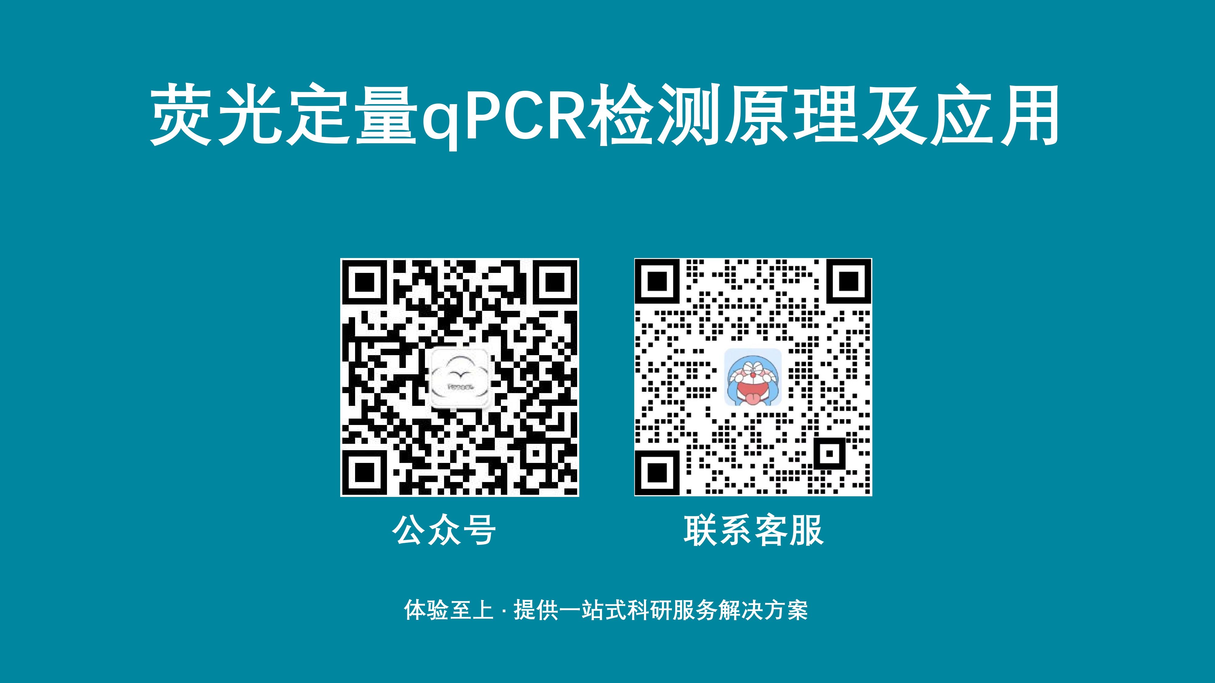 [图]荧光定量qPCR检测原理及应用