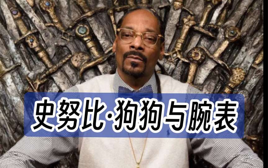 名人名表(二十六)美国说唱歌手——Snoop Dogg哔哩哔哩bilibili