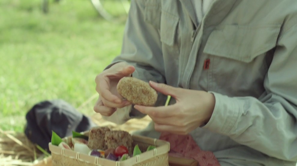 [图]【小森林夏秋篇】秋 Second dish——核桃饭