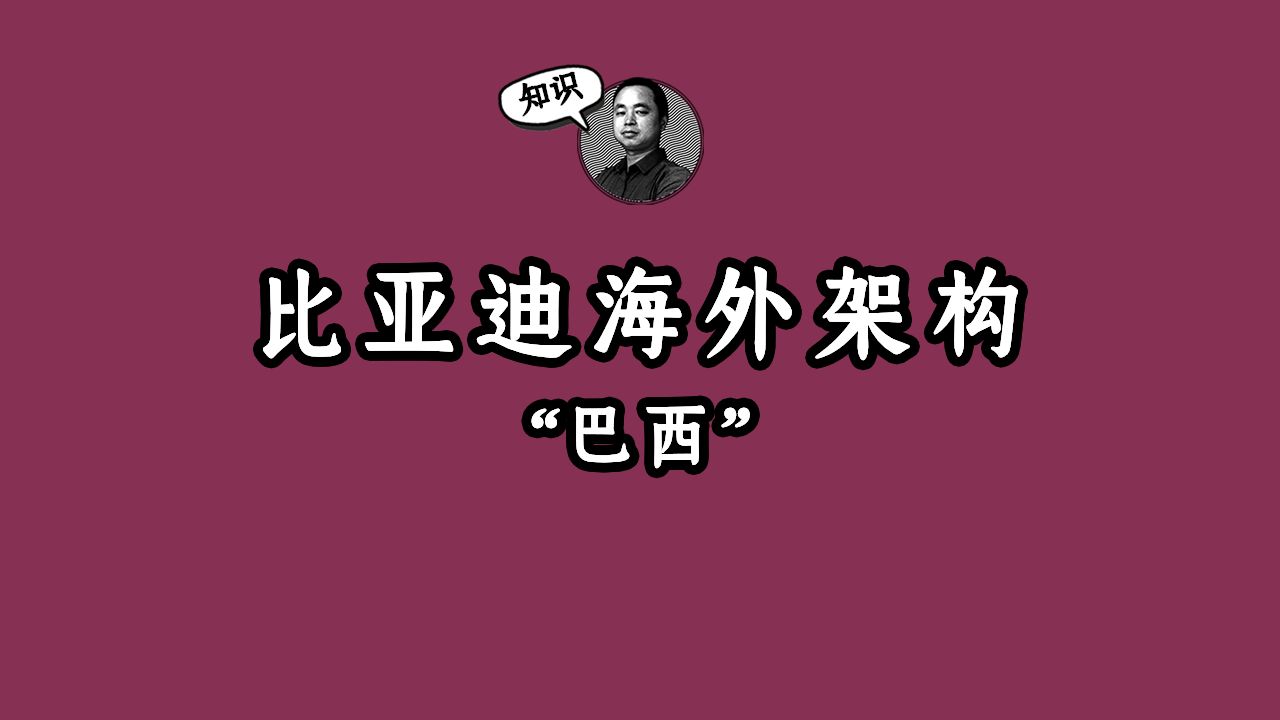 从比亚迪的扩张路径看海外股权架构搭建之巴西哔哩哔哩bilibili