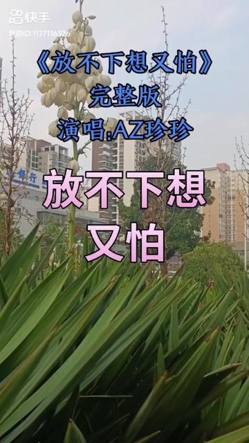 [图]#推荐一首热门歌曲 #《放不下想又怕》